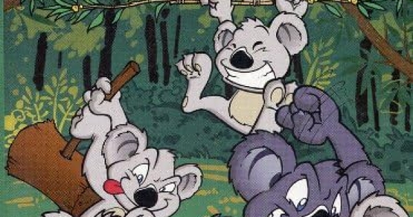 koala.jpg